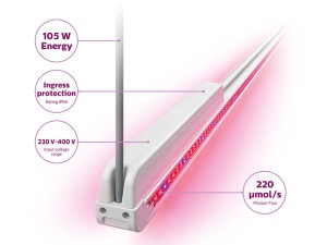 philips-interlighting-light
